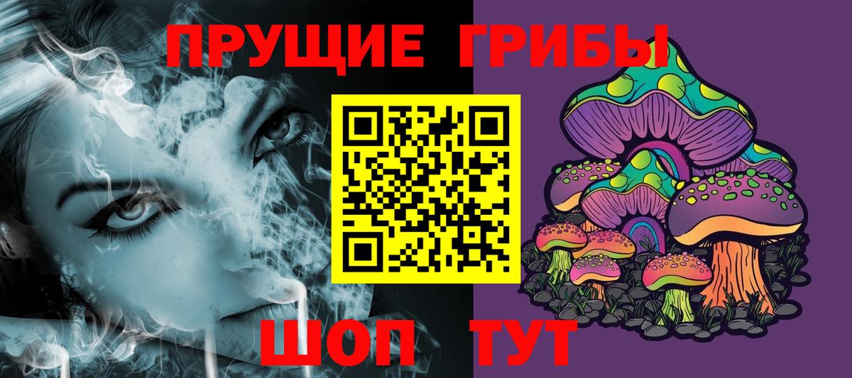 Псилоцибиновые грибы GOLDEN TEACHER Серов